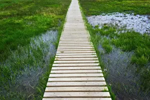 Plank Prints: A plank pathway in Landmannalaugar, Iceland Date: 21-07-2017