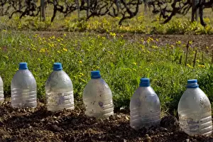 Recycling Prints: Plastic bottle recycling as mini-greenhouses