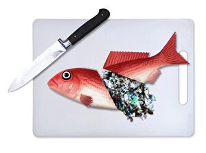 Rubbish Gallery: Plastic fish food. Concept image of a fish cut