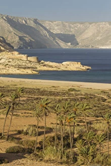 Almeria Province Gallery: The Playazo beach with palm trees and the San Ramon