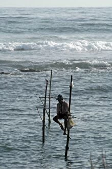 PM-10226 Stilt fishermen in southern Sri Lanka