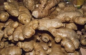 Pm-9377 Root Ginger - Mass