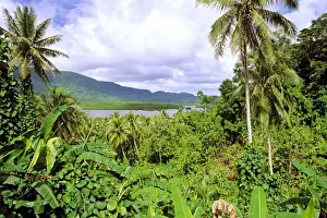 Pohnpei Island view through dense vegetation to a bay Micronesia JLR04158