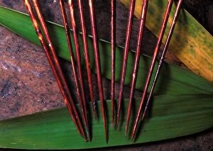Bamboo Gallery: Poisoned Darts - made from Bamboo
