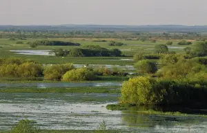 Poland Prints: Poland Biebrza Marsh National Park