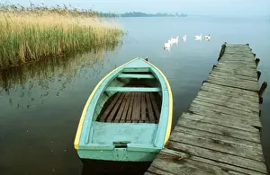 POLAND - boat at jetty. Flock of geese