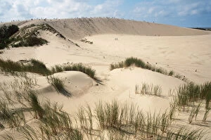 Dune Gallery: POLAND. Slowinski National Park. Landscape