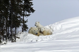 Images Dated 2003 March: 