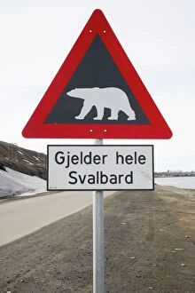 Road Collection: Polar Bear Road Sign - Longyearbyen, Svalbard (Spitsbergen) LA003889