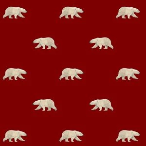 Abstracts Gallery: Polar Bears