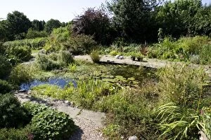 Pond - Attractive ecological garden pond