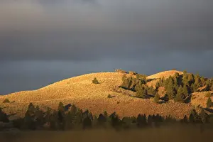 Ponderosa Ranch - Seneca - Oregon - USA