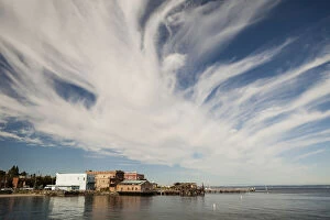 Ecosystem Gallery: Port Townsend waterfront, Washington, USA