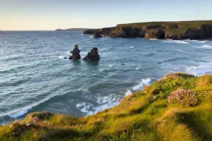 Sea Stacks Prints: Porthcothan - with surfers in the sea - Cornwall, UK