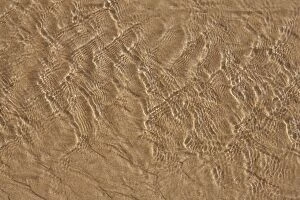 Images Dated 1st May 2008: Porto Santo Island's beach - Water on a sand beach
