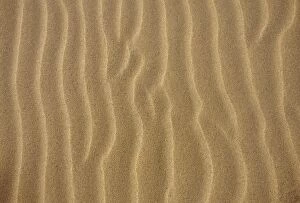 Porto Santo Islands beach - Wind ripples on the