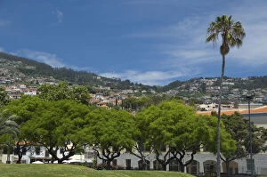 Portugal, Madeira Island, Funchal