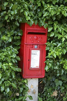 Post box in ivy, Henley-on-Thames, England