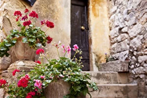 Potted flowers line the entryway to home