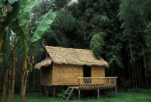 PPG-1608 Bamboo house, typical laotian
