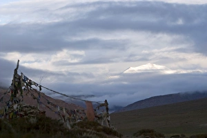 Images Dated 23rd August 2007: Prayer flags on a minor pass en route to Tso Kar basin