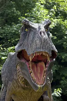 Prehistoric Reconstruction - close up head of Tyrannosaurus Rex - an extinct carnivorous therpod - Wildlife Park - Combe Martin - Devon - UK