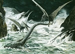 Images Dated 16th June 2006: Prehistoric Reconstruction - Pteranodon & Winged Prerosauros (Cretaceous 114 million years ago)