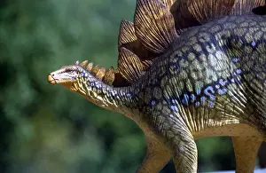 Prehistoric Reconstruction - Stegosauraus Stenops, Jurassic