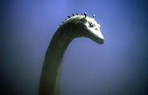 Prehistoric Reconstruction - Swimming Plesiosaur C. Oxoniensis Late Jurassic