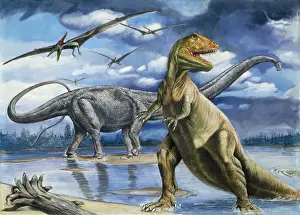Illustrations Prints: Prehistoric - Tyrannosaurus in foreground with Brontosaurus / Patosaurus behind and Pteranodon