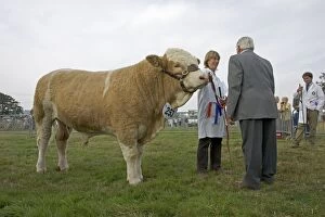 Images Dated 3rd September 2005: Presenting first prize for winning pedigree British