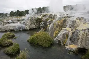 North Island Prints: Prince of Wales Feather Geyser