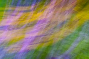 Private Garden - abstract image of flower beds