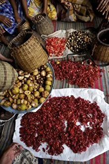 Agricultre Gallery: Processing Nutmeg - red coloured mace