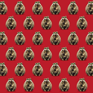 Backgrounds Gallery: Pudding Cat pattern