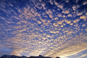Images Dated 31st August 2006: Puffy clouds at sunrise the Canadian Rockies