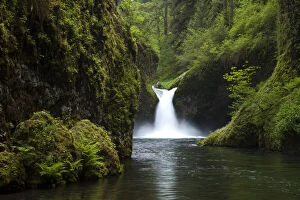 Ecosystem Gallery: Punch Bowl Waterfall, Eagle Creek, Columbia