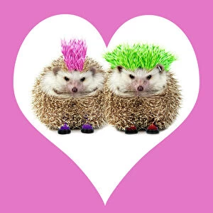 Couples Collection: Punk girl and boy Hedgehog - in pink heart shaped frame. Manipulated image