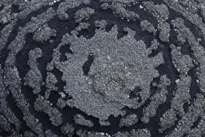 Pyrite on Shale Concretion - Yunnan China