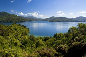 Images Dated 27th February 2008: Queen Charlotte Sound view towards the blue waters of the sound from Queen Charlotte Drive