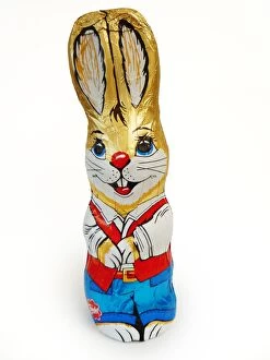 Rabbit - foil covererd chocolate easter rabbit