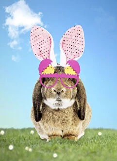 Rabbit wearing Bunny ears and spring glasses in spring scene
