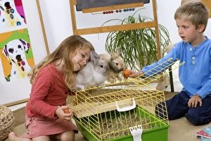 Images Dated 7th November 2006: Rabbits - two sitting ontop of cage being fed carrots
