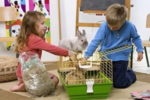 Images Dated 7th November 2006: Rabbits - two young children putting hay in Rabbit's
