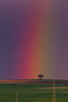 Arable Gallery: Rainbow, appearing over arable land, Lower Saxony, Germany Date: 29-Mar-16