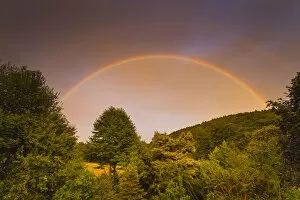 Images Dated 9th August 2020: Rainbow, appearing in double form over woodland, , Lower Saxony, Germany Date: 24-Aug-15