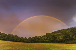 Rainbow, appearing in double form over woodland, Lower Saxony, Germany