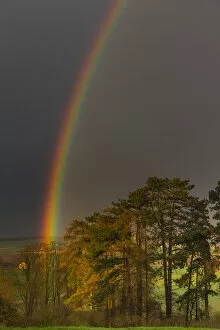 Images Dated 9th August 2020: Rainbow, appearing over woodland, Lower Saxony, Germany Date: 29-Mar-16