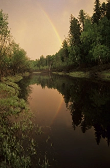 Rainbow after evening rain over river Negustyah (typical Siberian river)