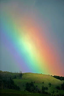 Rainbow - Lamar Valley